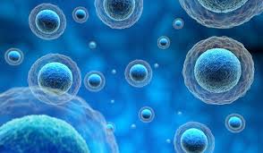 Understanding Stem Cells and Exesomes in the Skin Care Industry