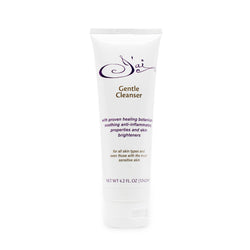 Gentle Cleanser